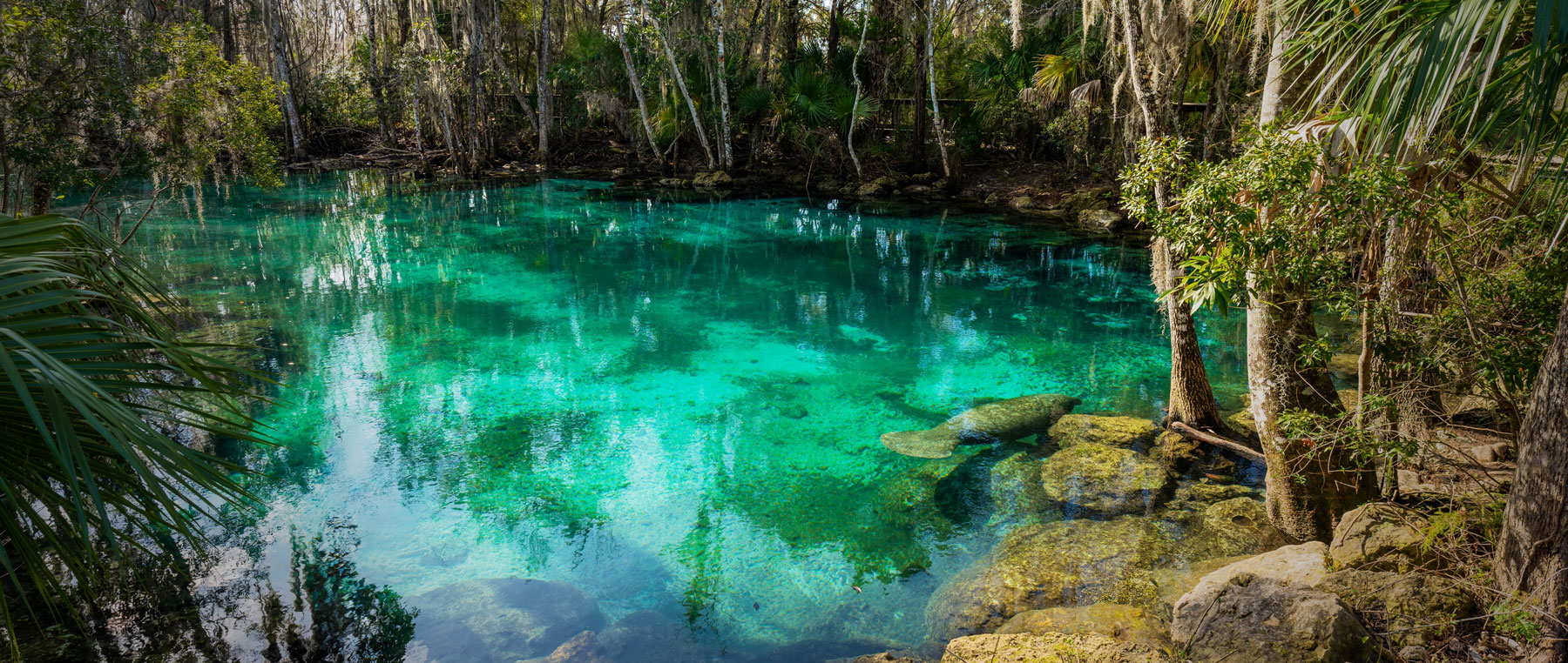 Crystal River, Florida