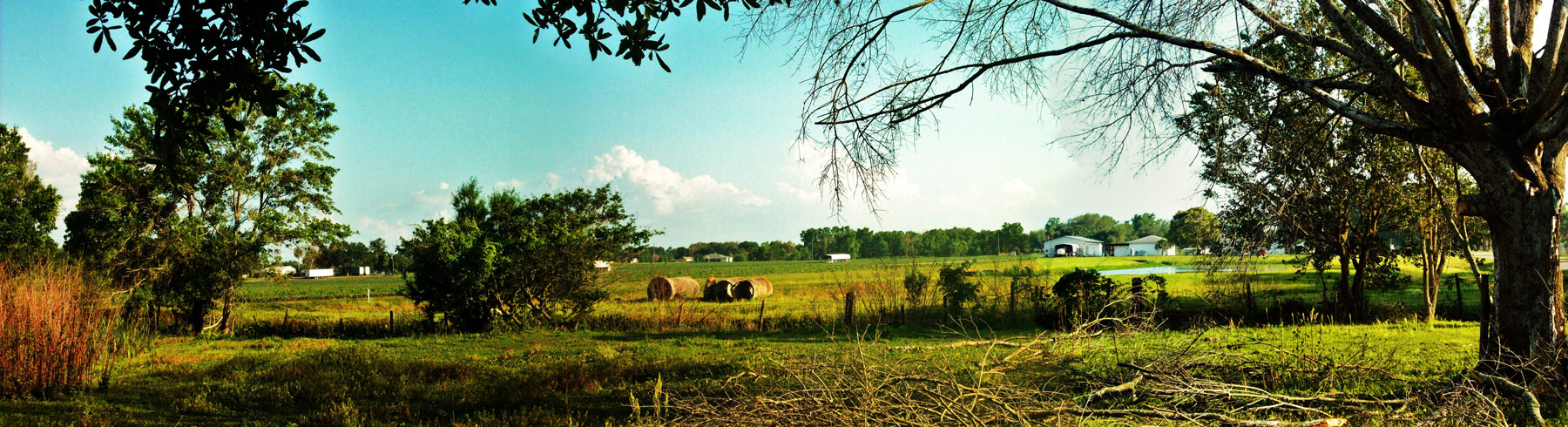 Dover, Florida